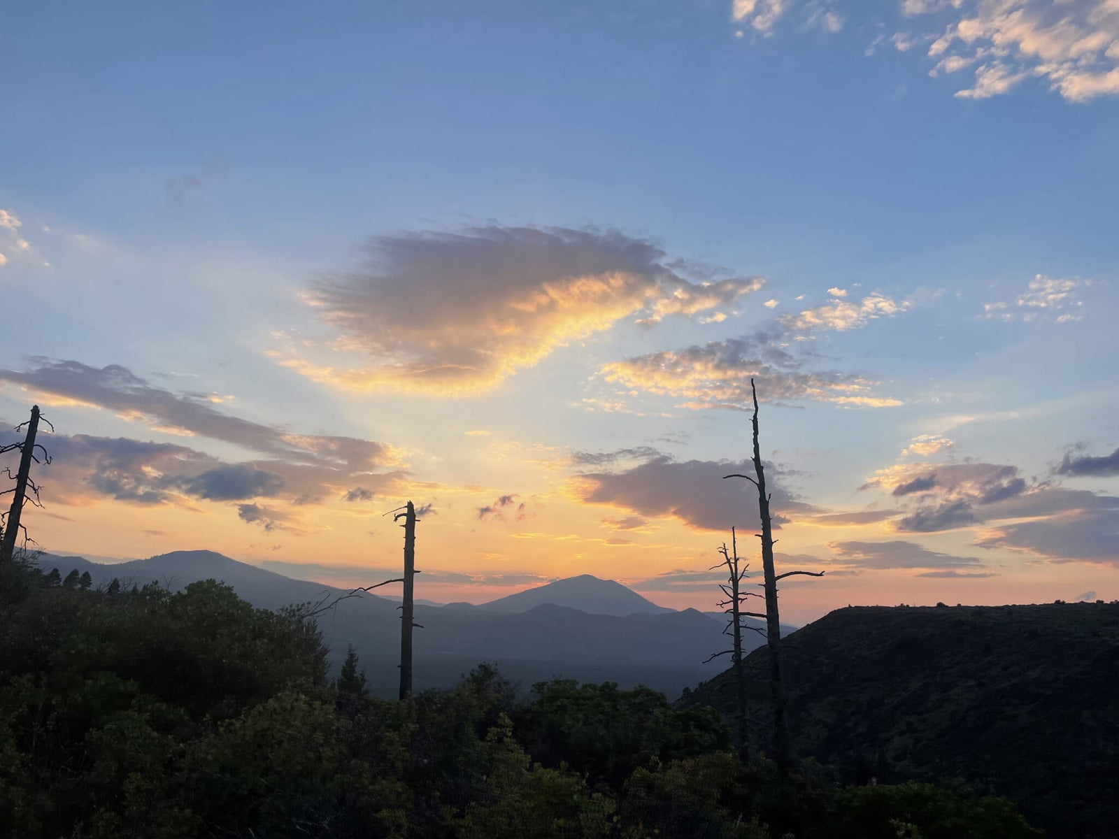 Hopping Back Down to Northern California