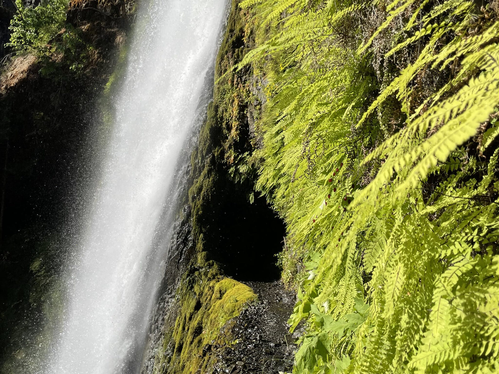 Trail Update: Buffets and Blue-Blazing