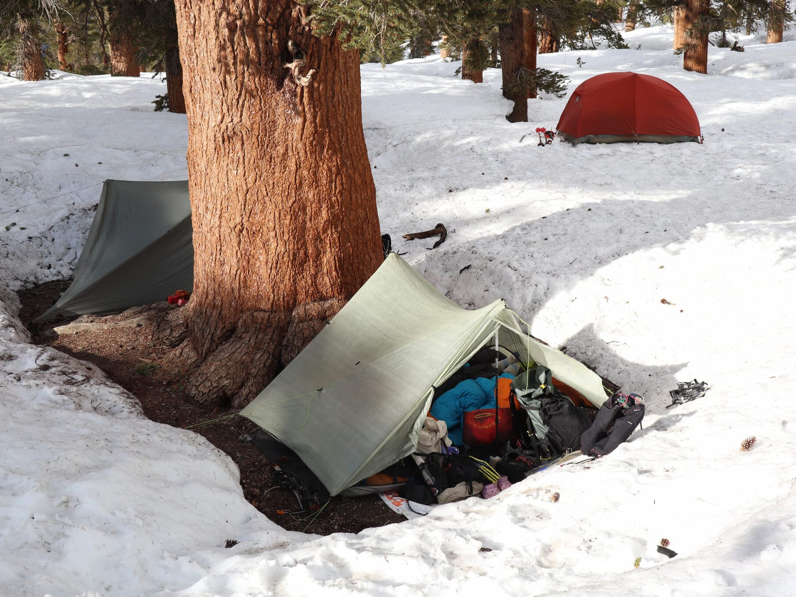 A Hobbit Hole of Snow