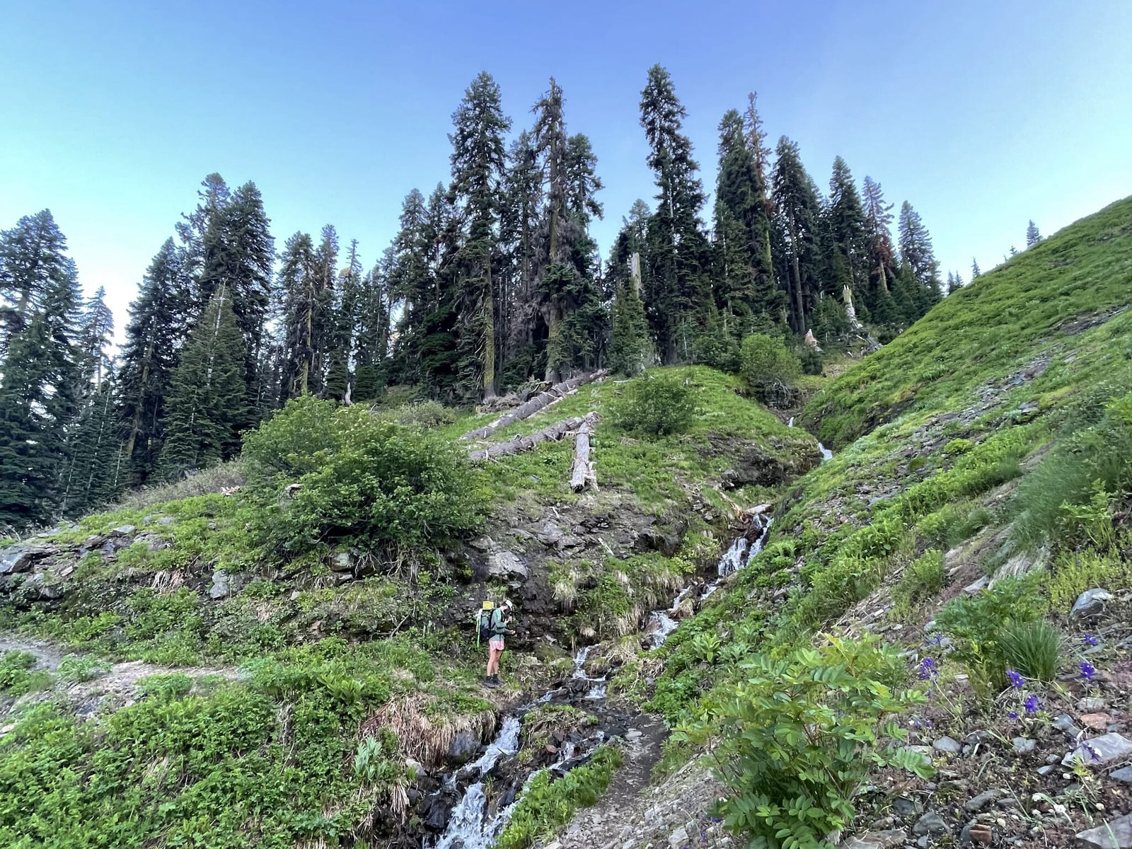 Trail Update: The Red Dirt Path