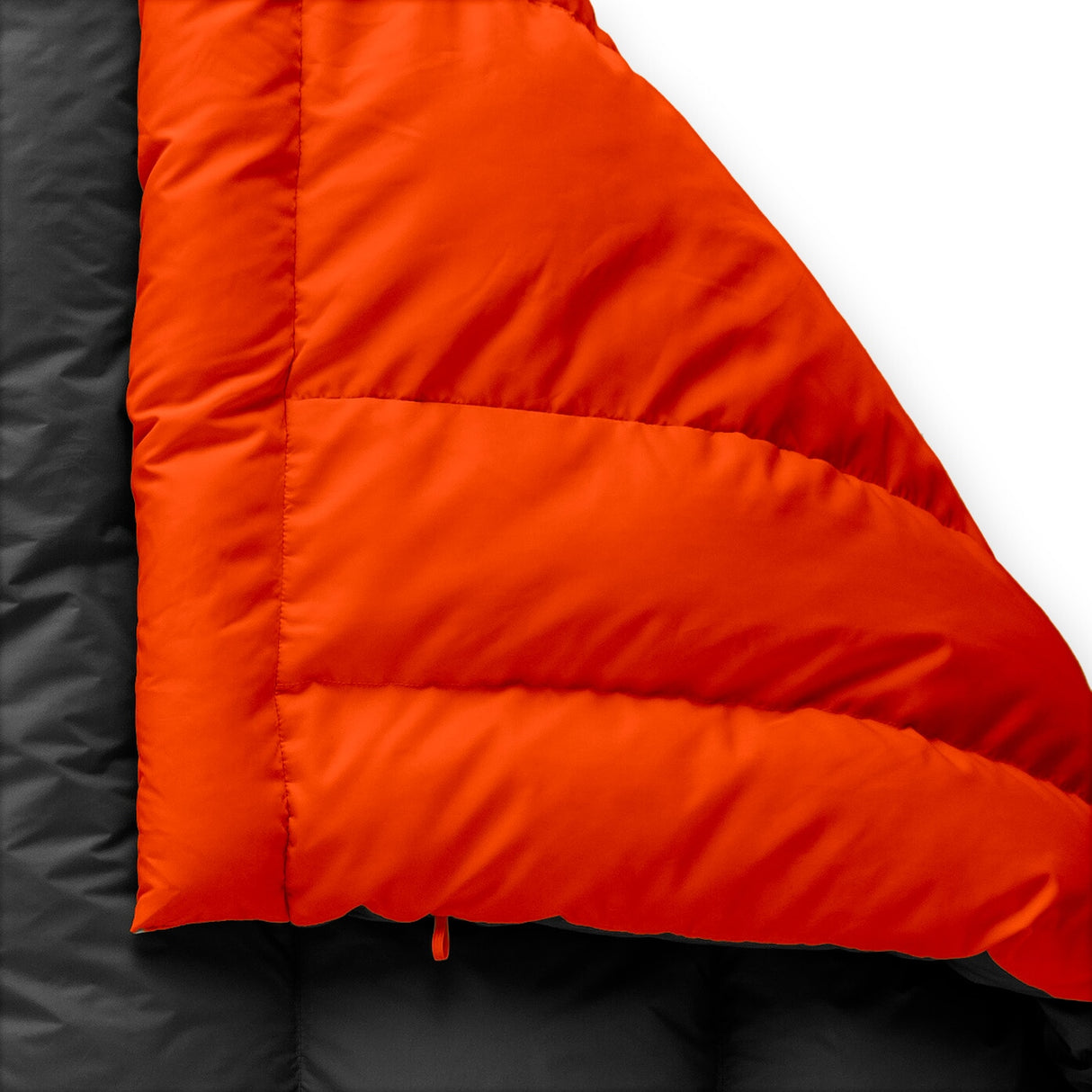 The Original Zenbivy Bed (20D/50D, 700FP)