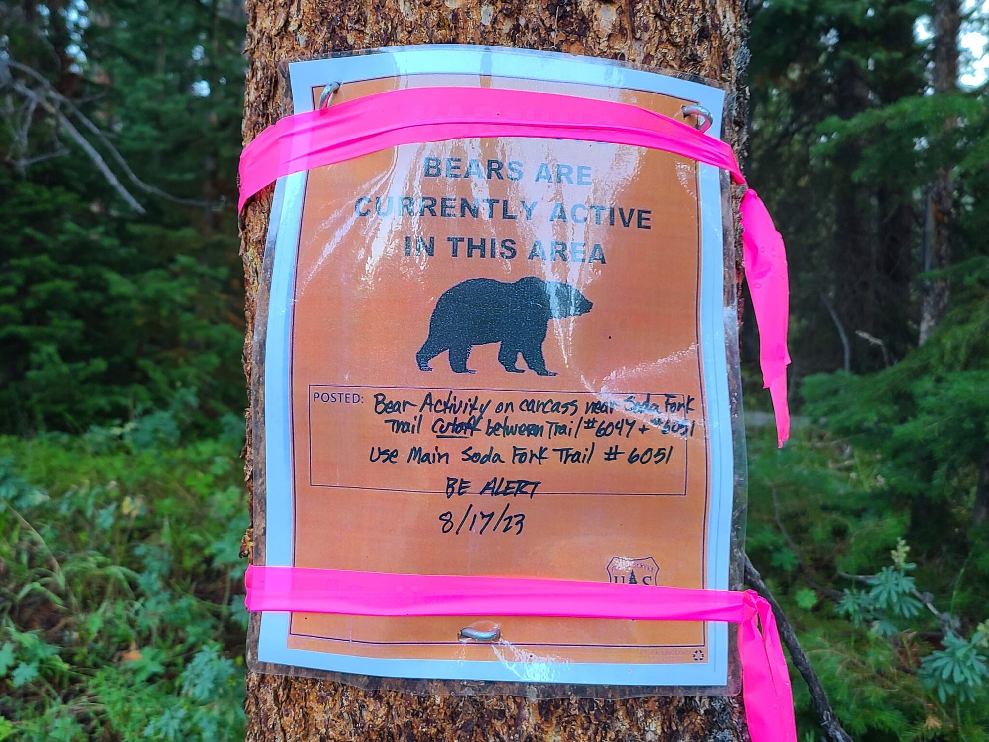 Backpacking in Grizzly Country