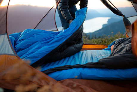 Which Zenbivy Bed is Right for You?