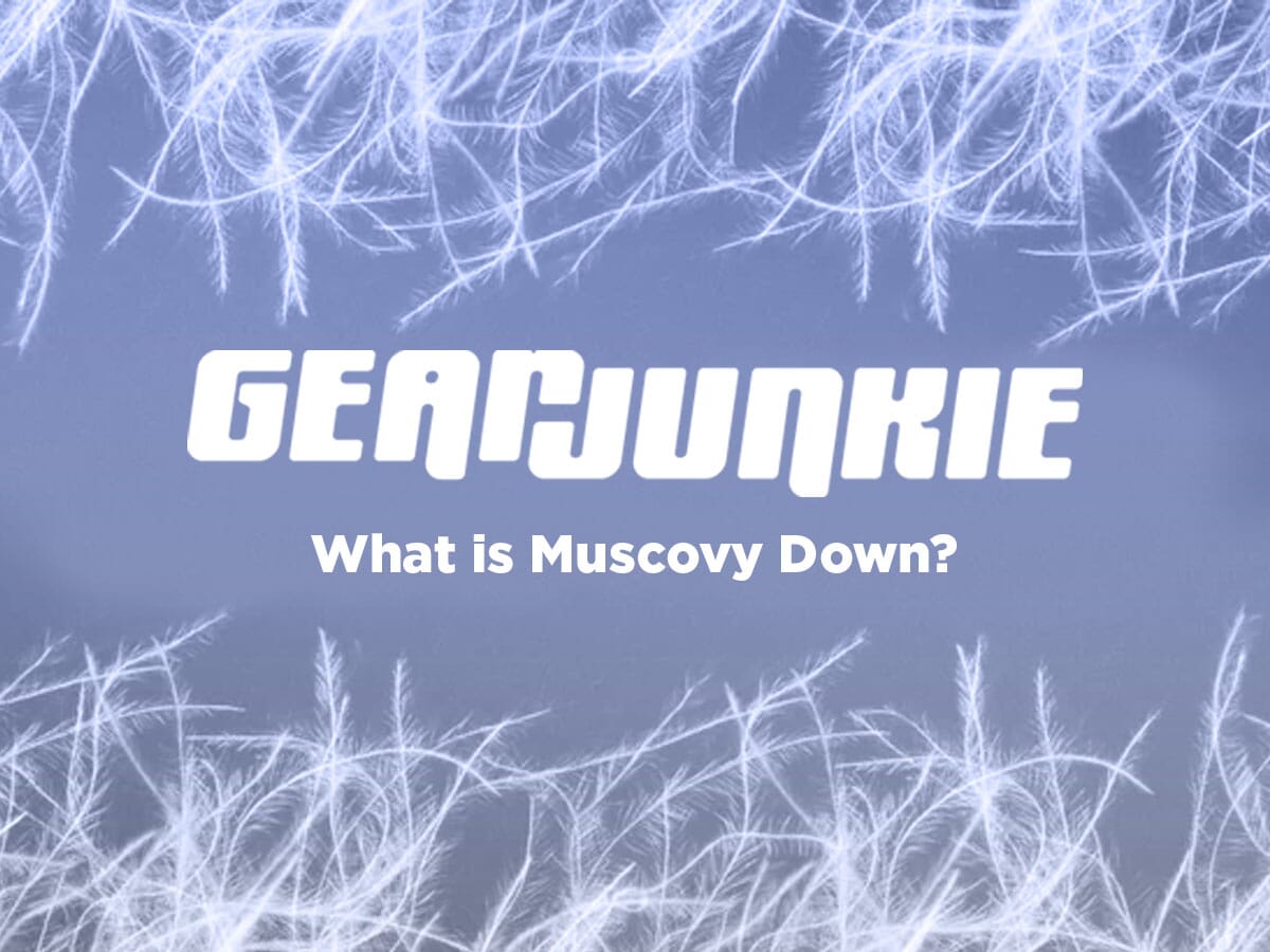 PRESS: What's the Deal with Muscovy Down?