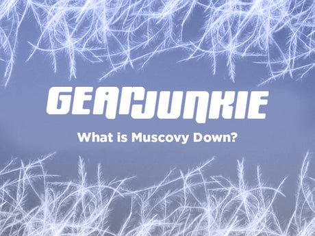PRESS: What's the Deal with Muscovy Down?