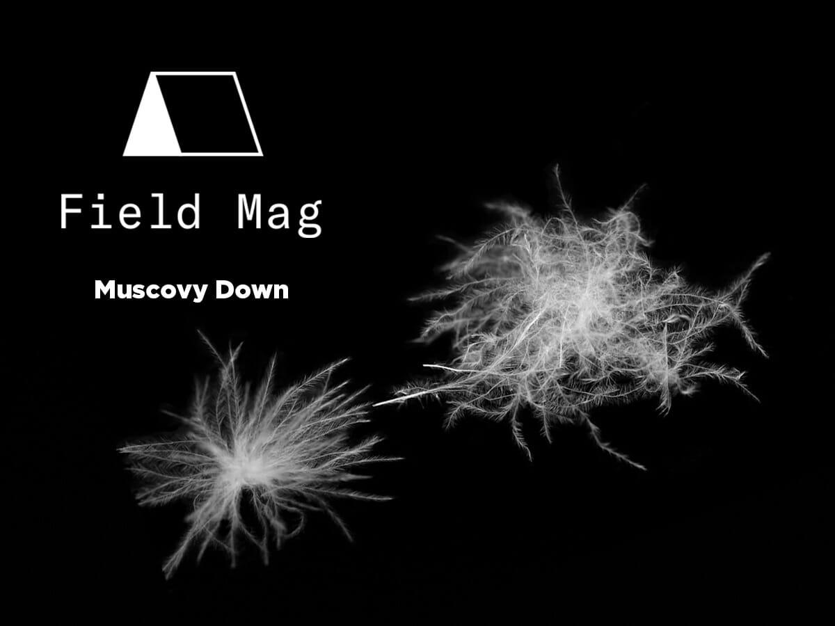 PRESS: What Is Muscovy Down?