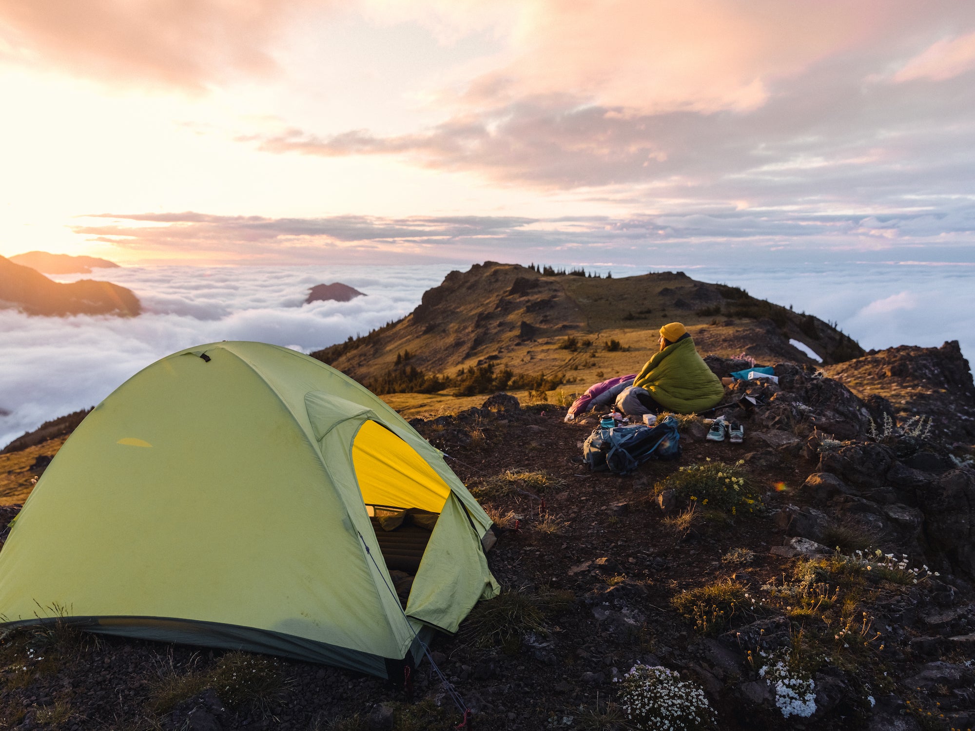 Zenbivy FAQ - You Ask, We Answer!