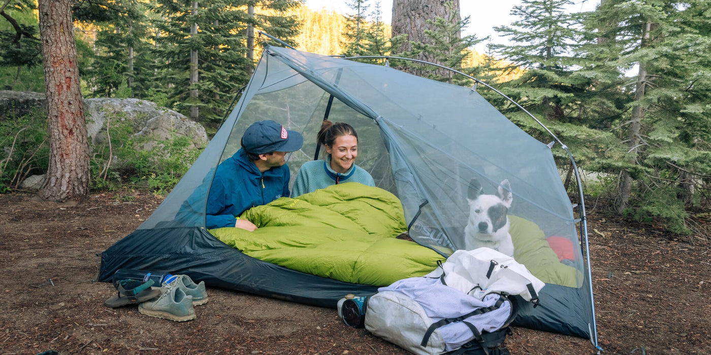 Two people and a dog inside a tent in a forest setting